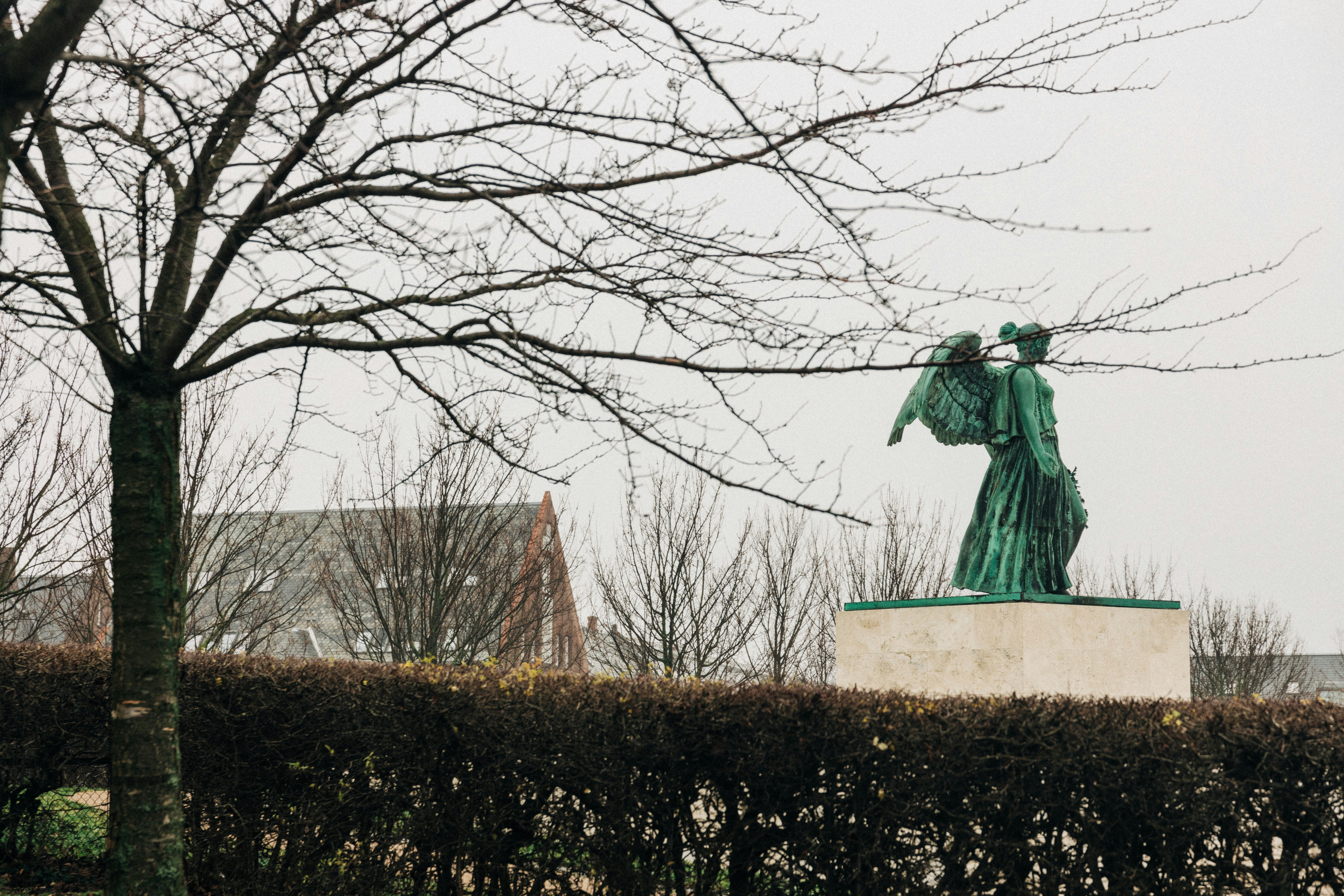 Female angel statue near bare tree