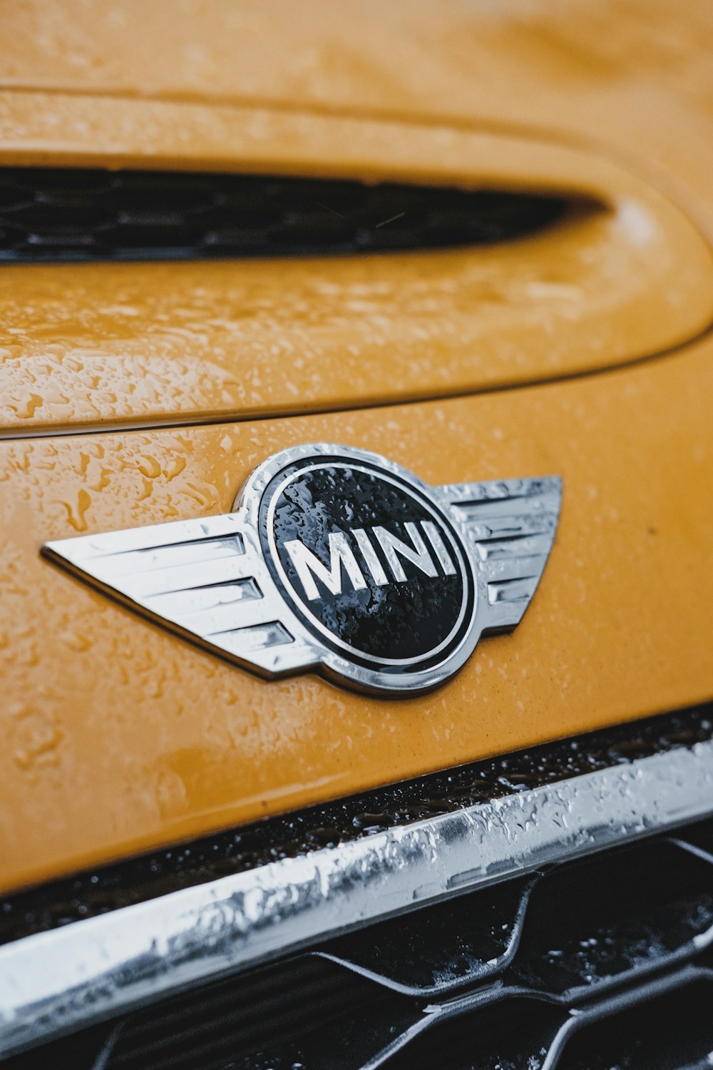 Mini Cooper emblem