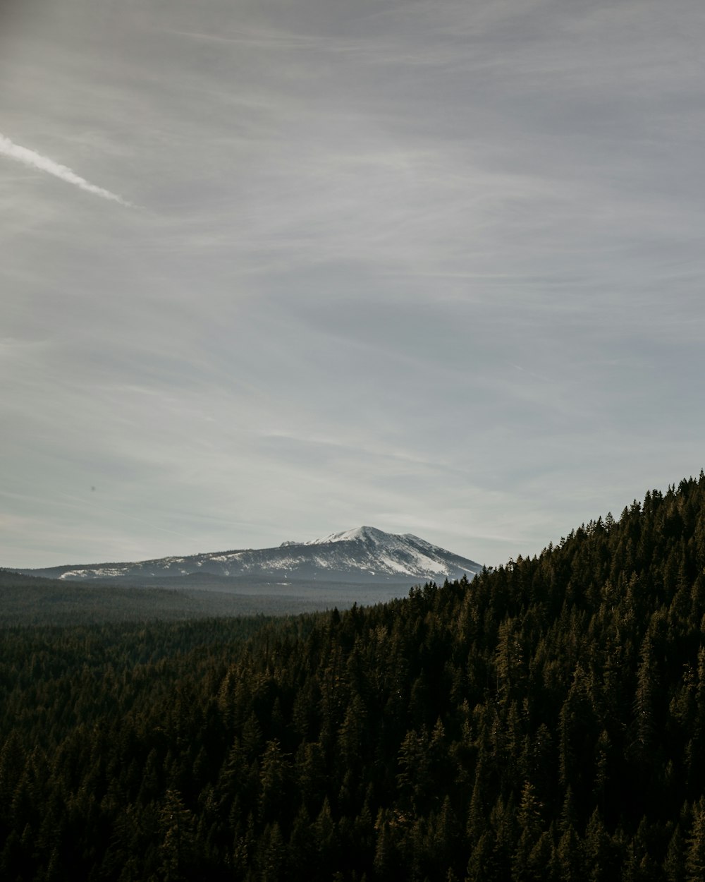 bird's-eye view photography of forest