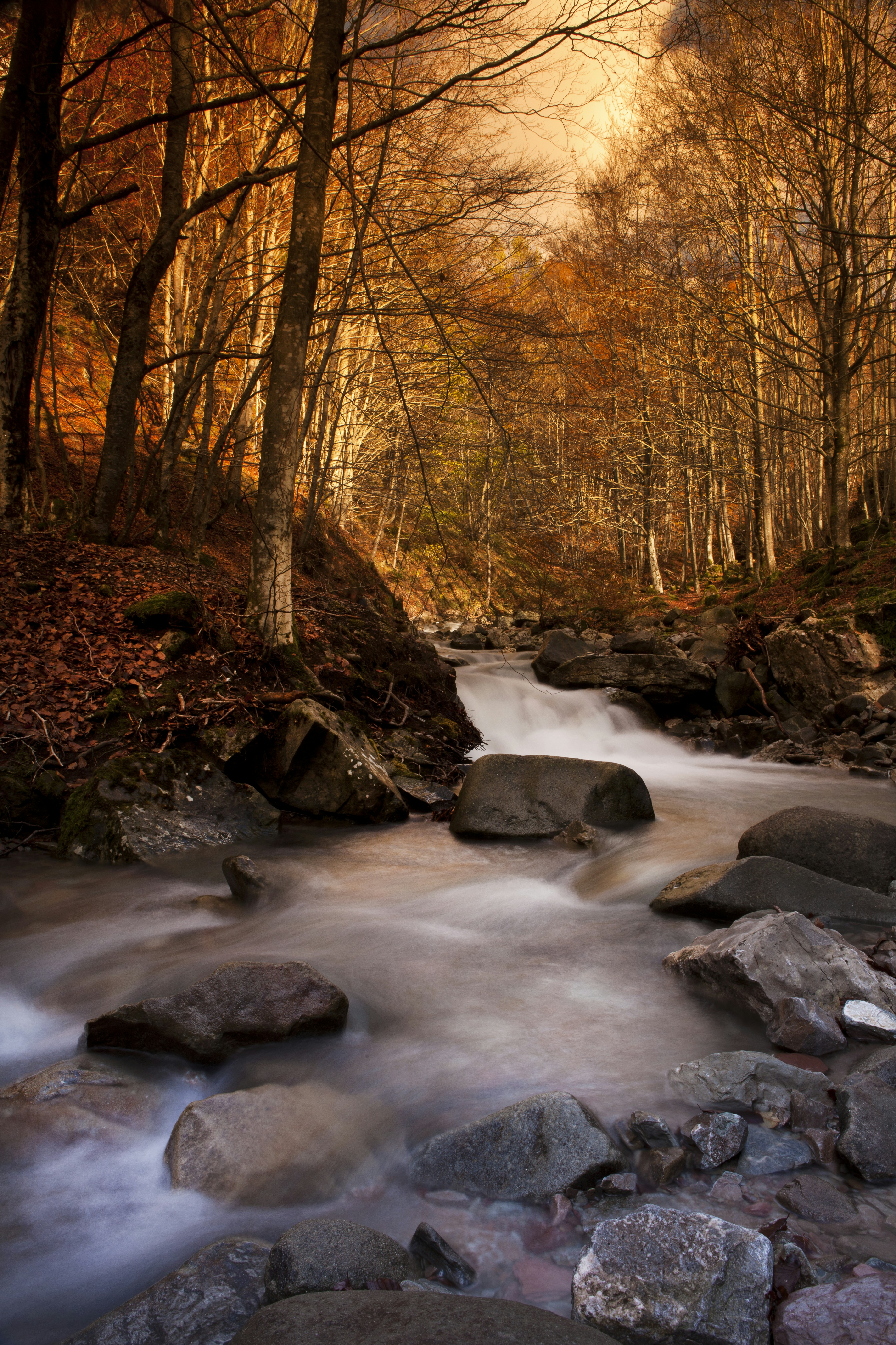 Photo by ricca79photo