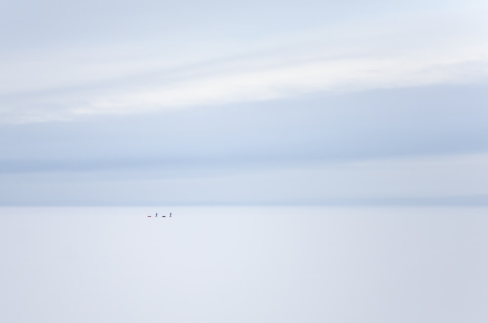 a couple of birds flying over a large body of water