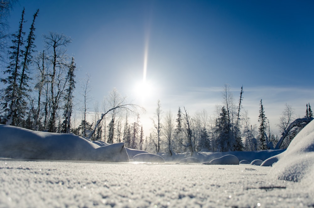 snow field