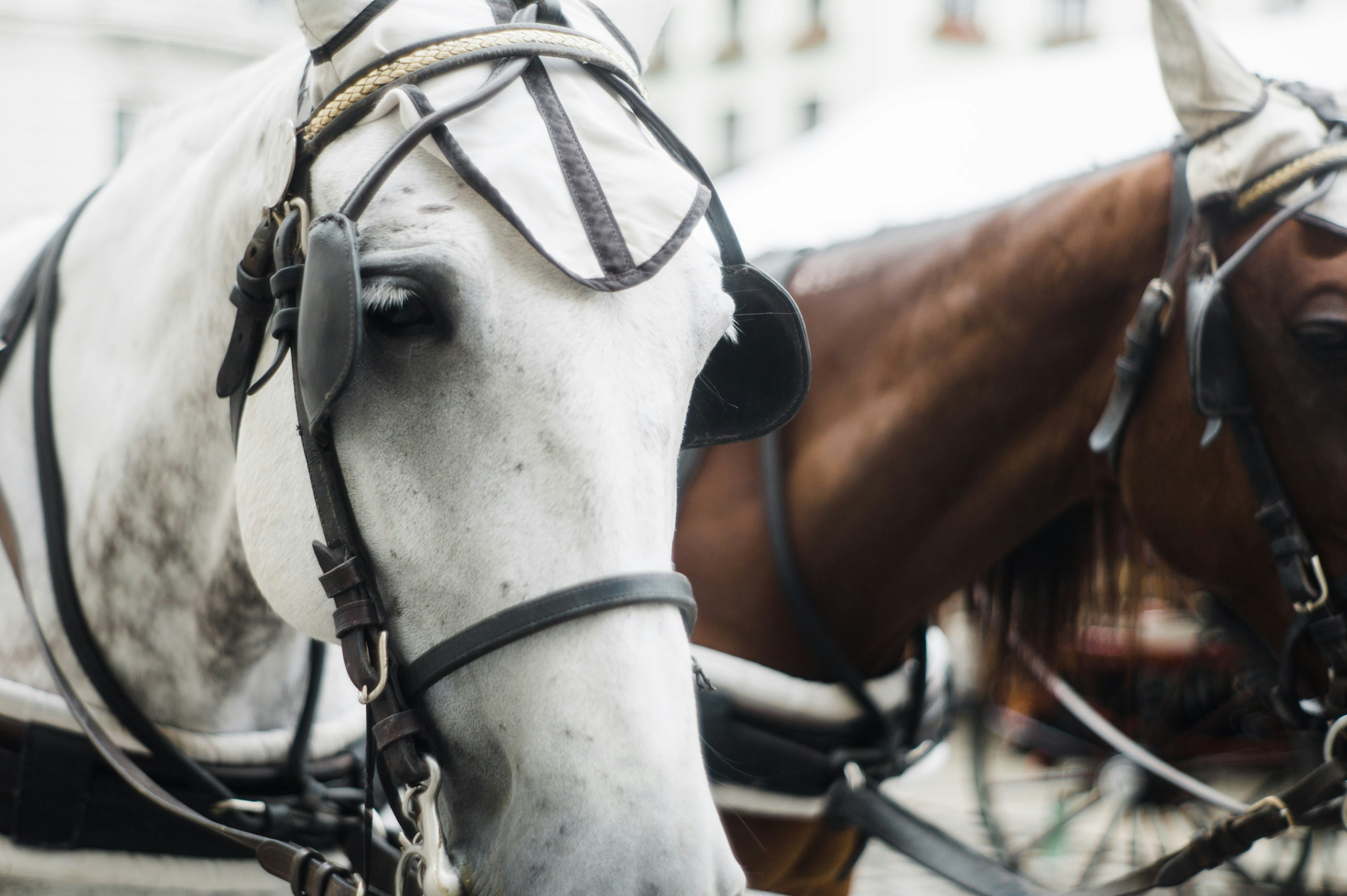 Photo by john_tuesday