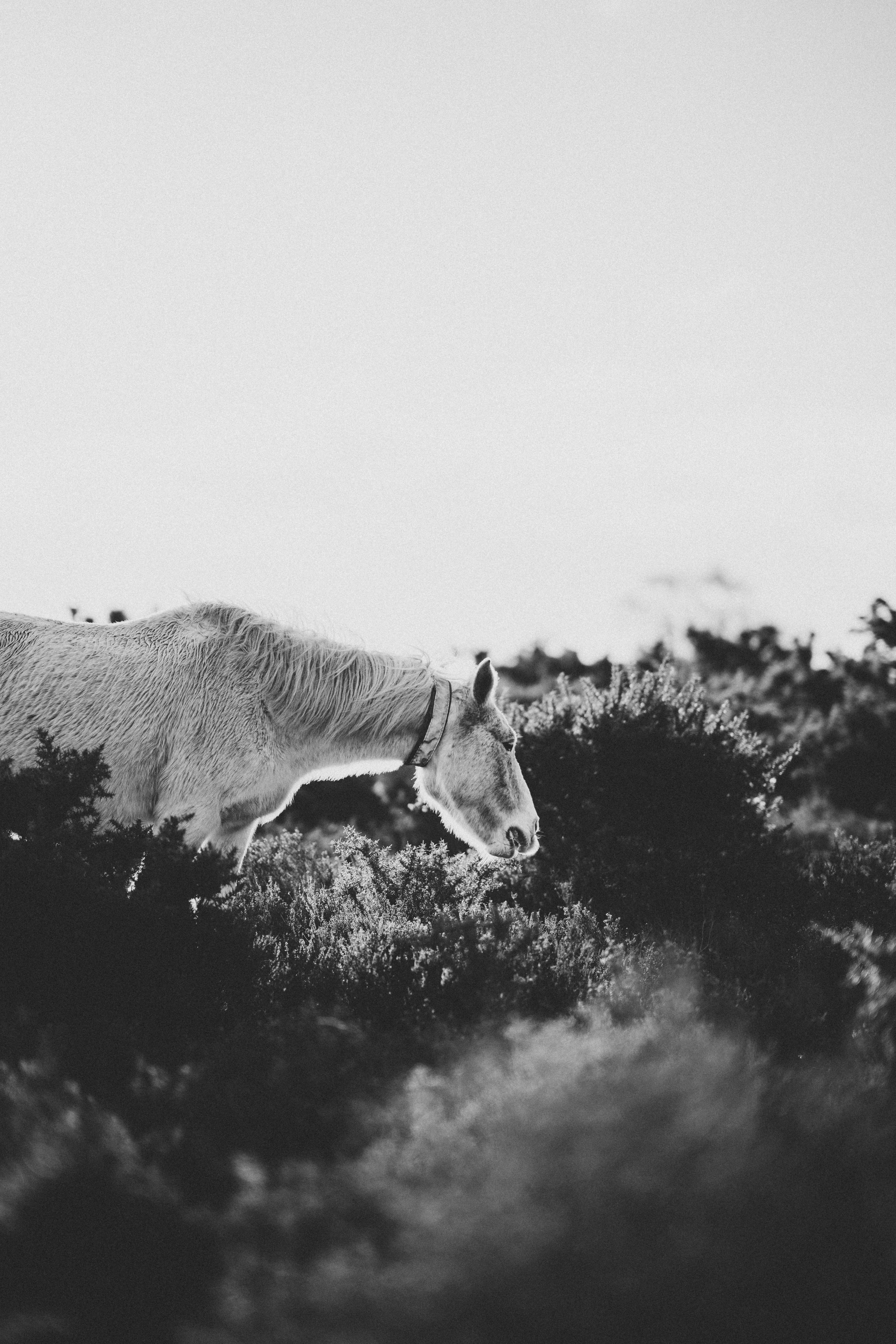 Photo by anniespratt