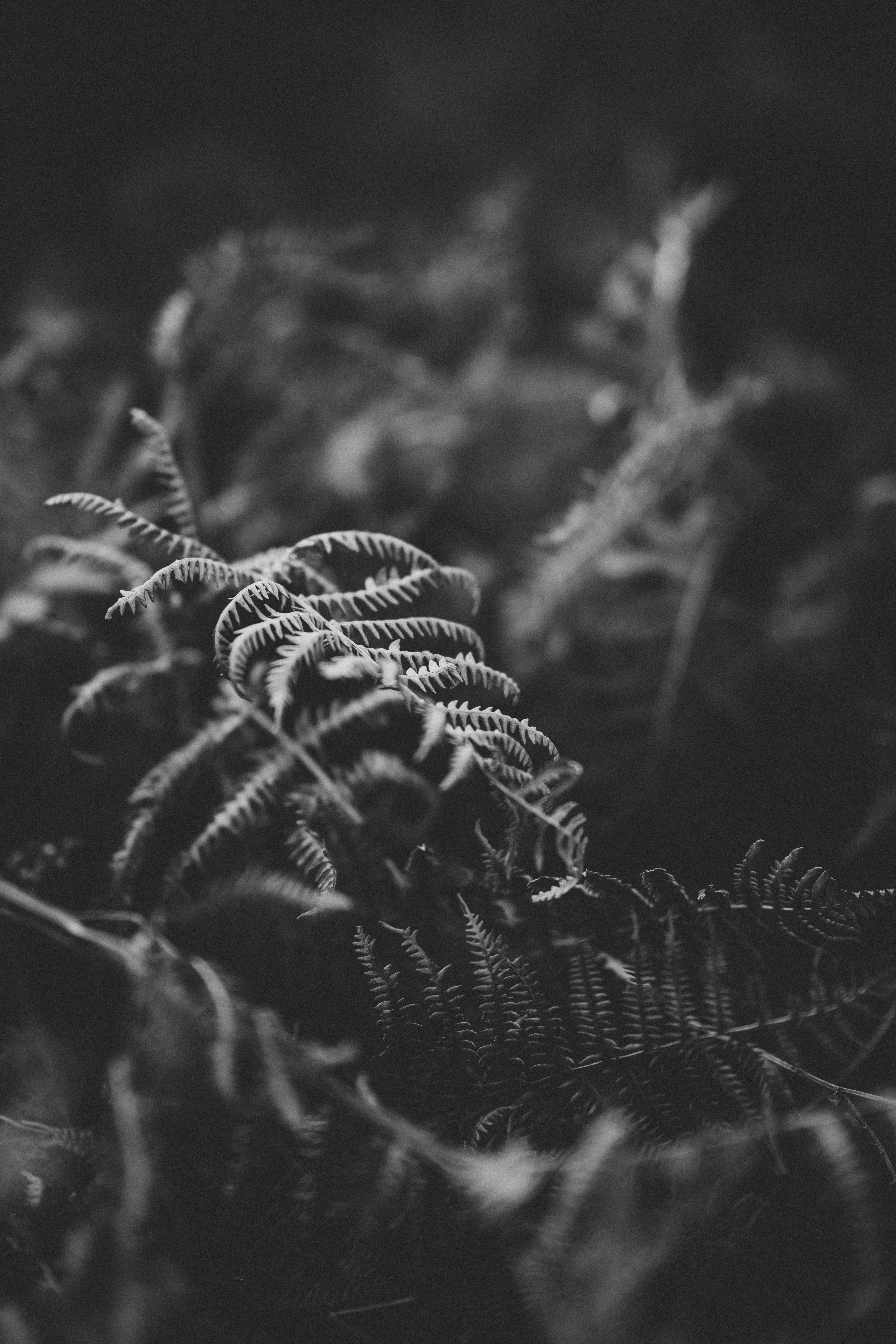 Photo by anniespratt