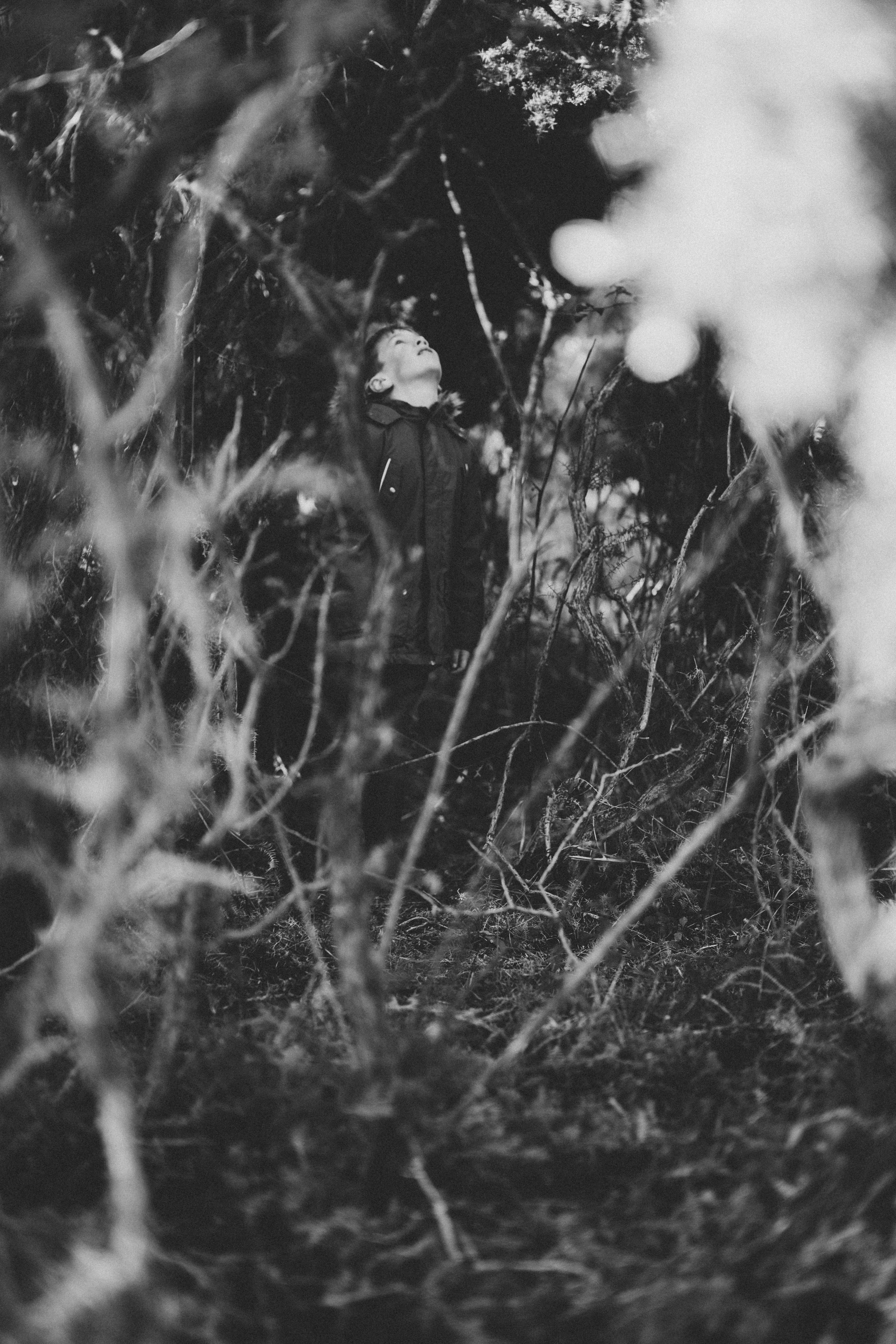 Photo by anniespratt