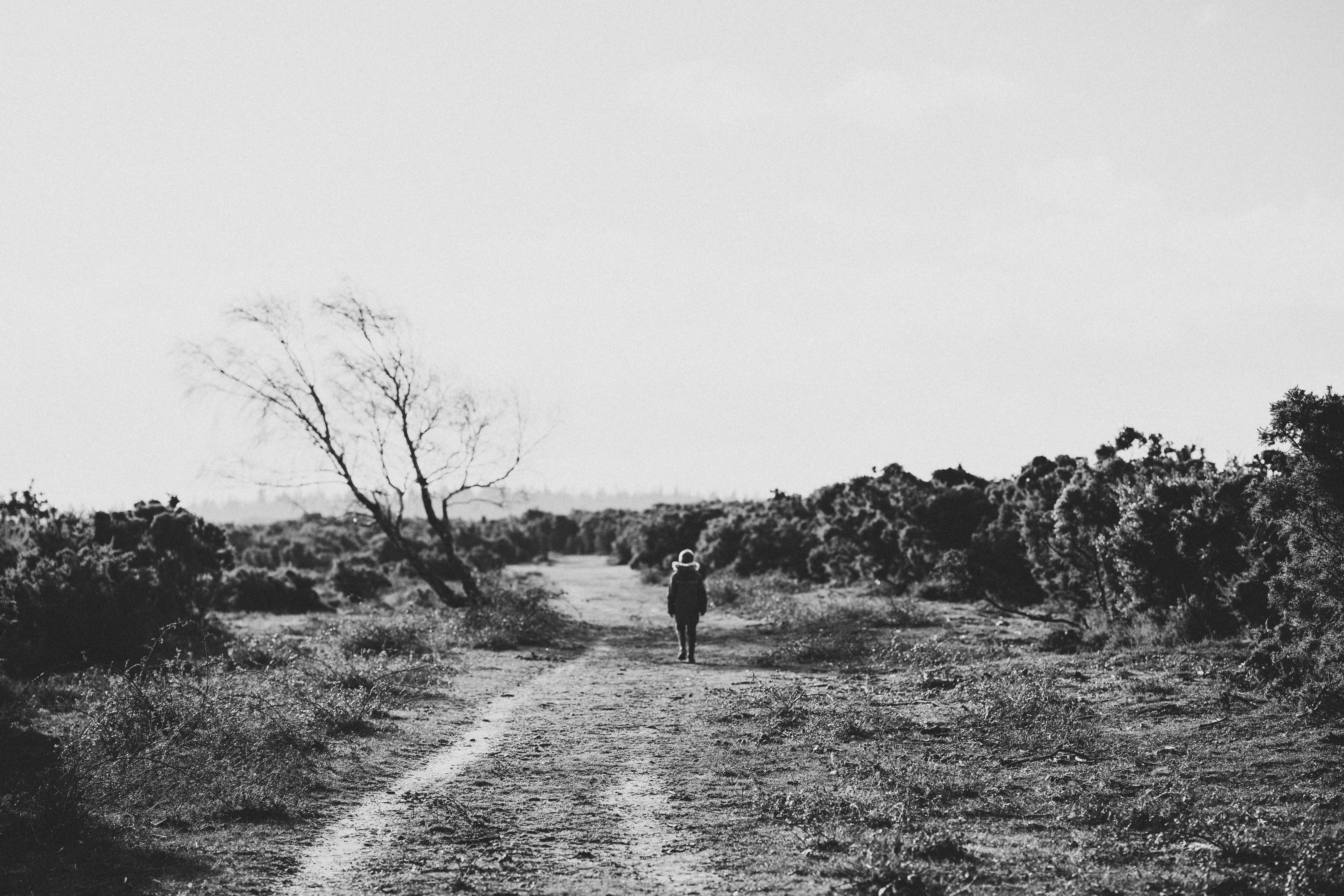 Photo by anniespratt