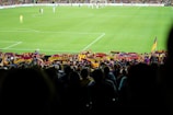 A crowded stadium with fans cheering during a soccer match.