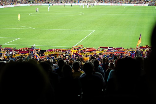 Crowd of excited fans wearing colorful jerseys and scarves at a lively soccer match.