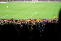 A crowded stadium with fans holding colorful banners and scarves, situated in the stands behind the soccer field. Players are visible on the field, with the match seemingly in progress under bright lights. The atmosphere appears lively, indicating a significant soccer event.