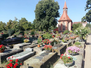 A well-maintained cemetery featuring stone graves adorned with a variety of colorful flowers. In the background, a large tree provides shade, and an ornate chapel with a red roof and spire adds a sense of tranquility. The surrounding environment is lush with greenery.