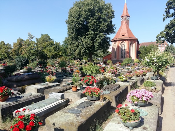 A well-maintained cemetery featuring stone graves adorned with a variety of colorful flowers. In the background, a large tree provides shade, and an ornate chapel with a red roof and spire adds a sense of tranquility. The surrounding environment is lush with greenery.