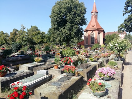 A well-maintained cemetery featuring stone graves adorned with a variety of colorful flowers. In the background, a large tree provides shade, and an ornate chapel with a red roof and spire adds a sense of tranquility. The surrounding environment is lush with greenery.