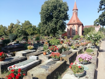 A well-maintained cemetery featuring stone graves adorned with a variety of colorful flowers. In the background, a large tree provides shade, and an ornate chapel with a red roof and spire adds a sense of tranquility. The surrounding environment is lush with greenery.