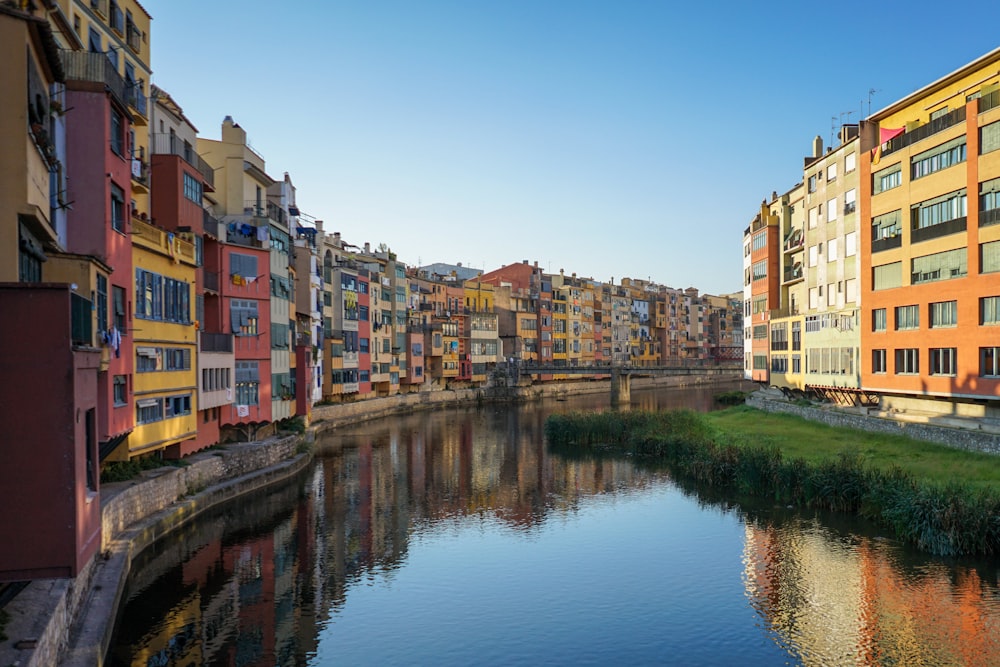 concrete buildings beside body of water