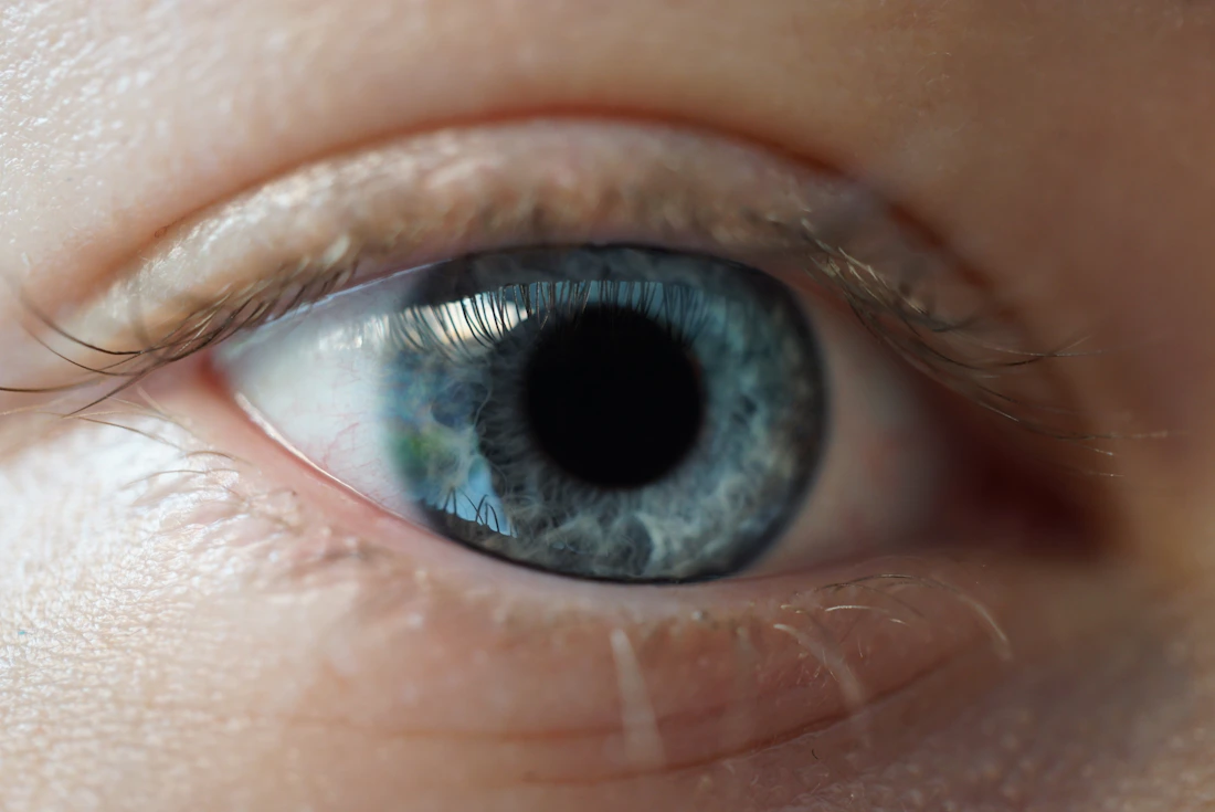 Soft blue-grey iris