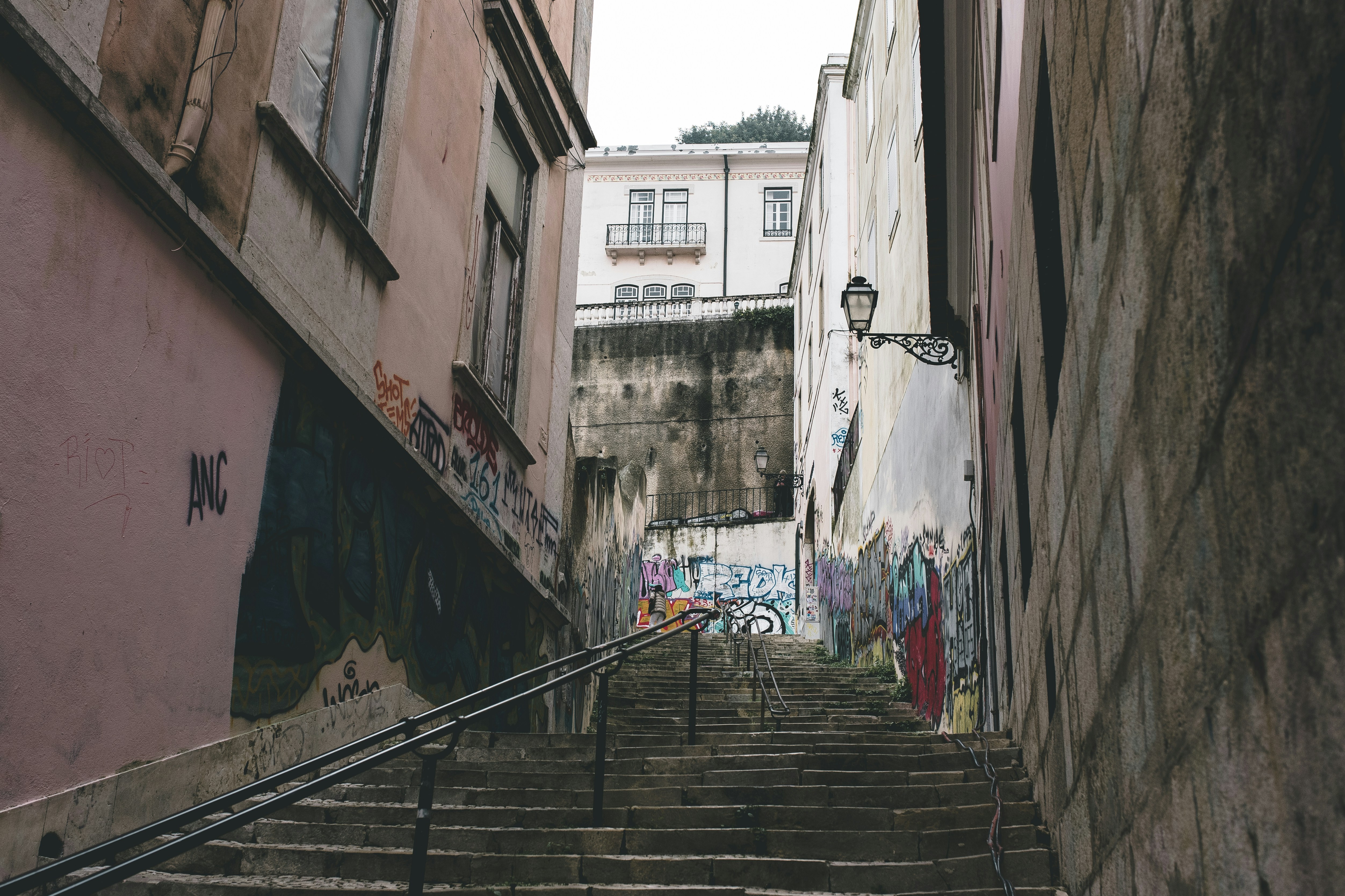 Photo by nicholaschesteradams