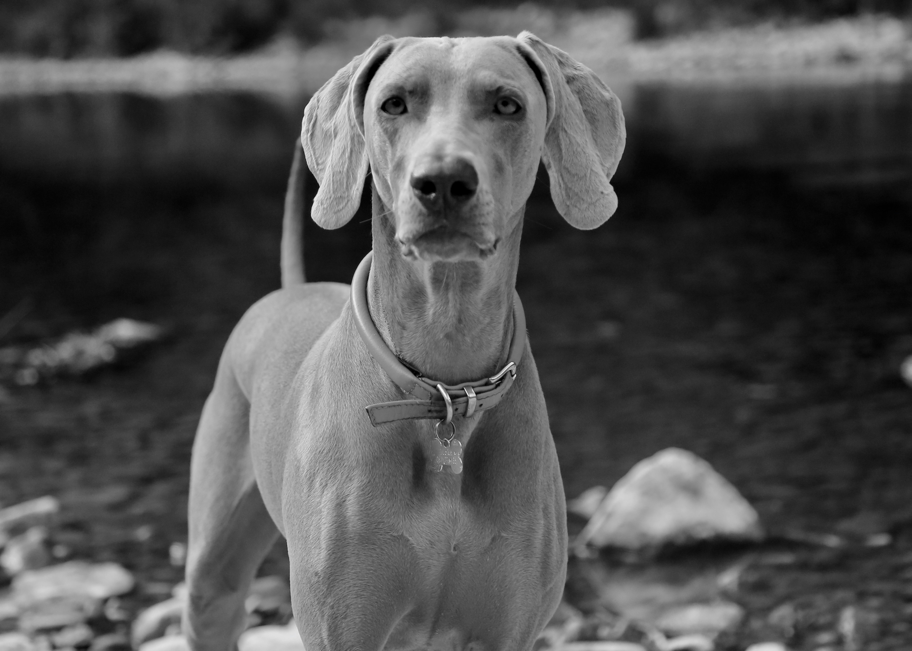 Photo by nathalie_spehner