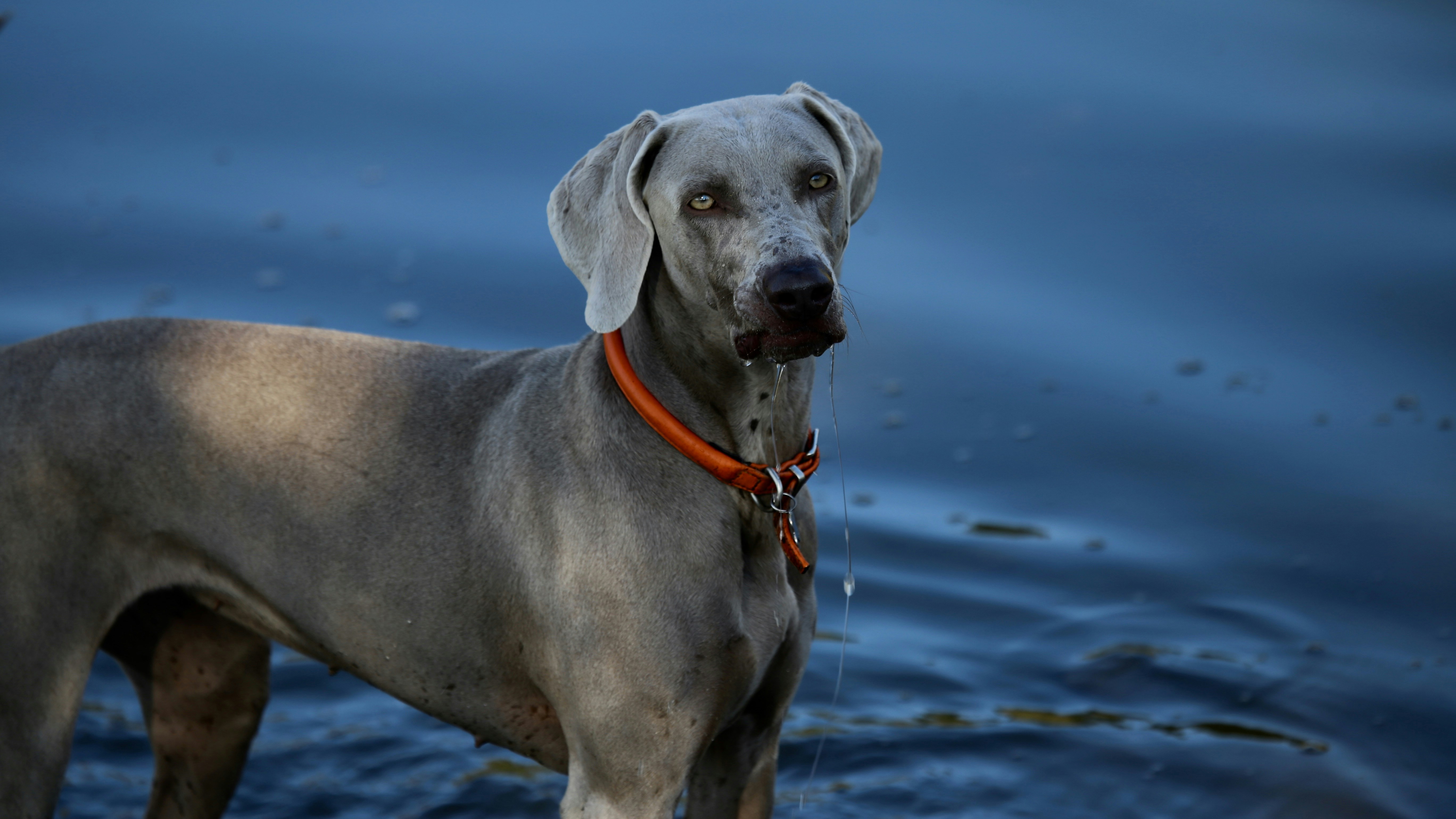 Photo by nathalie_spehner