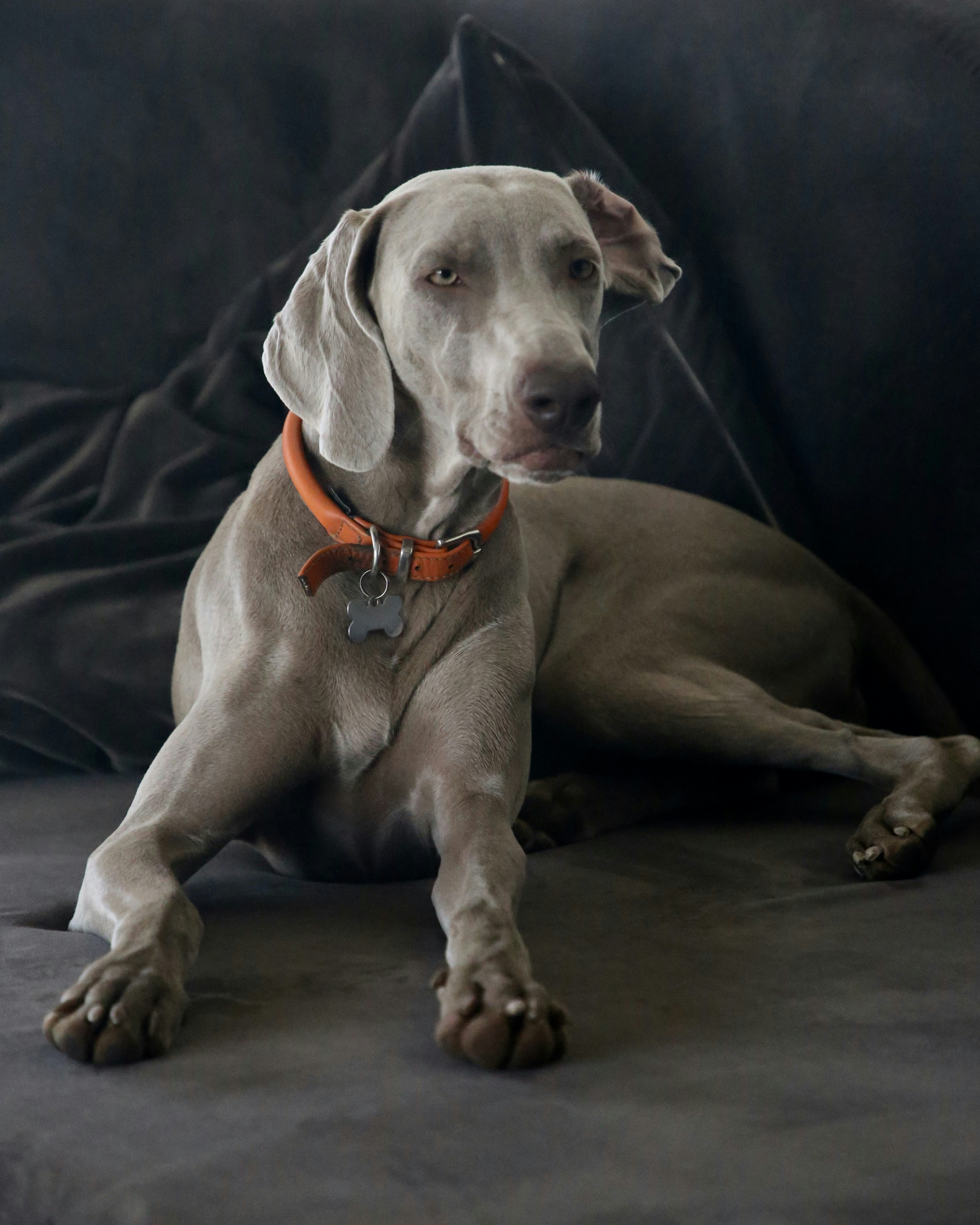 Photo by nathalie_spehner