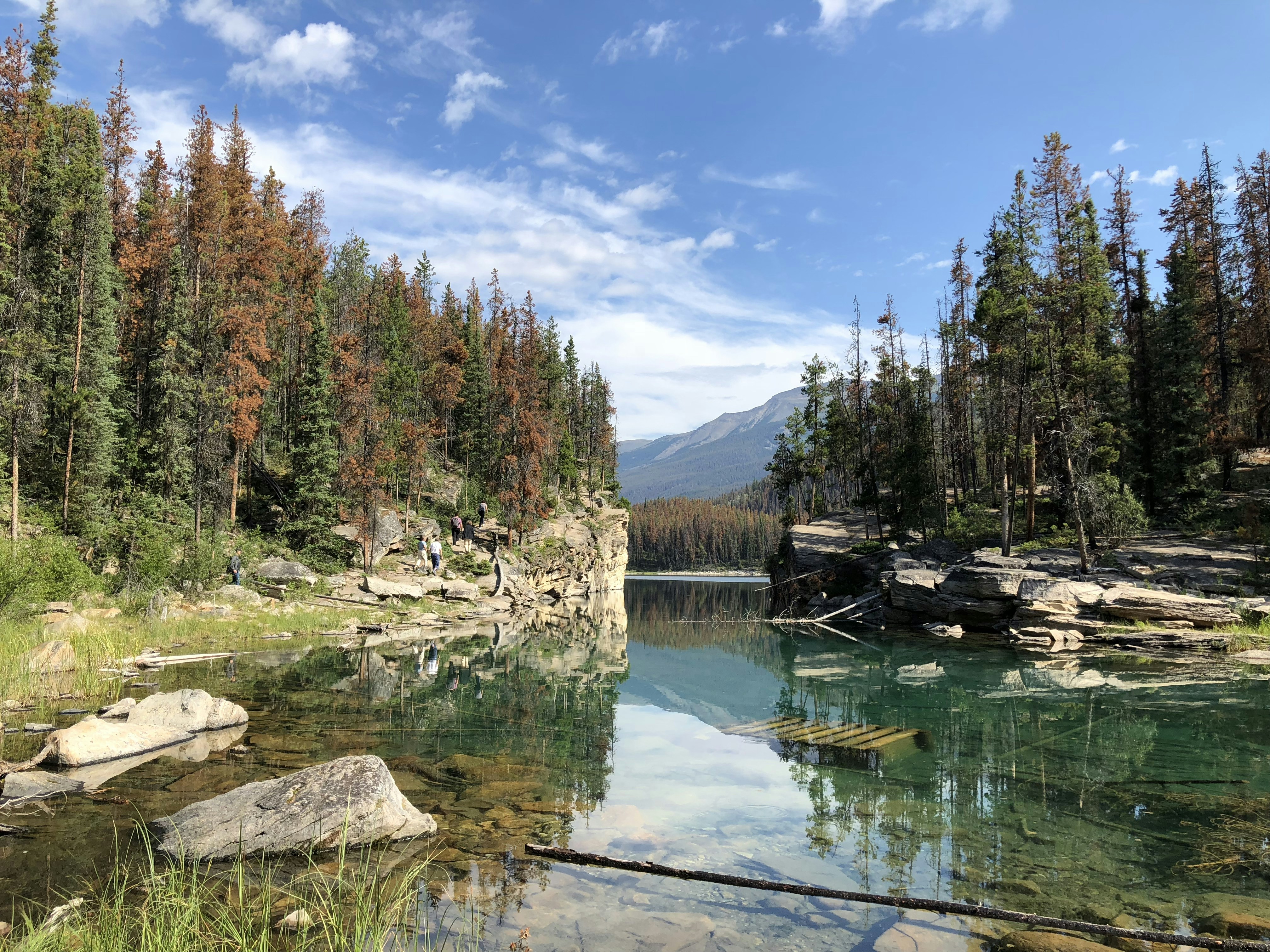 brown wooden raft in middle of clear water river