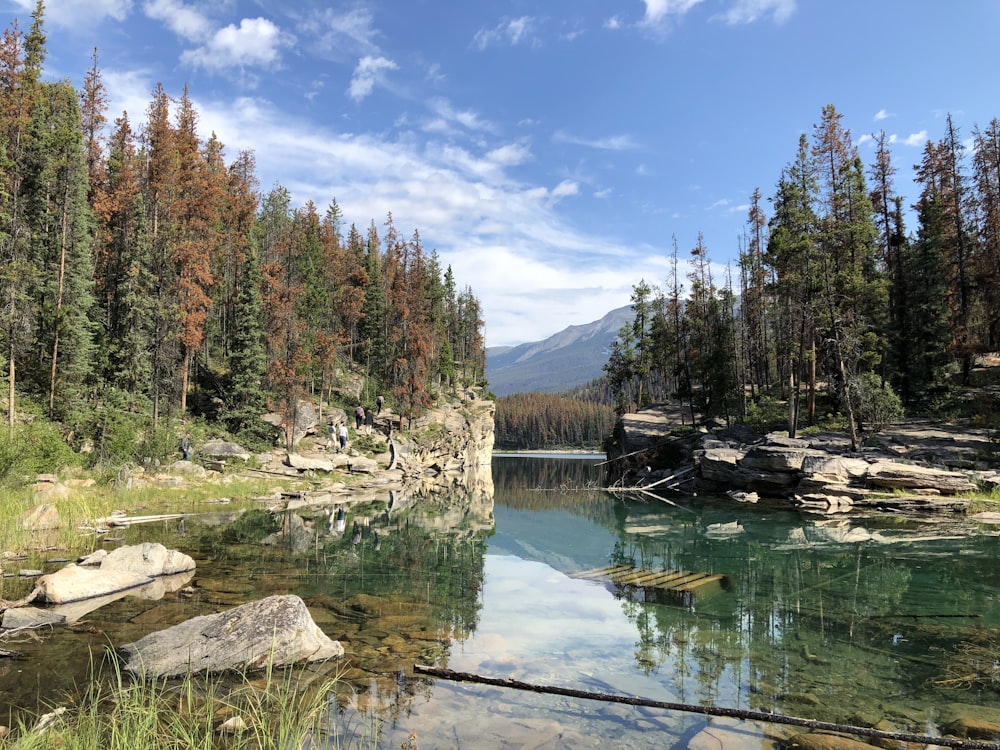 brown wooden raft in middle of clear water river