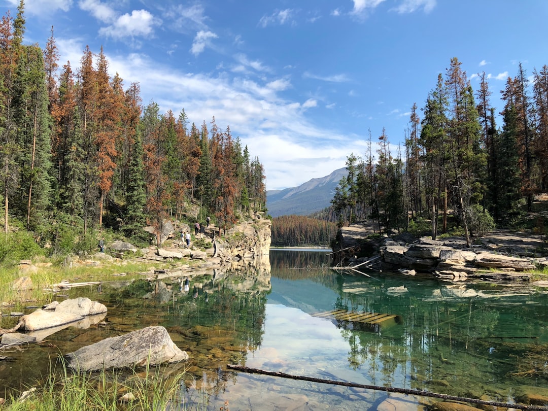 Nature reserve photo spot Jasper National Park Athabasca Falls