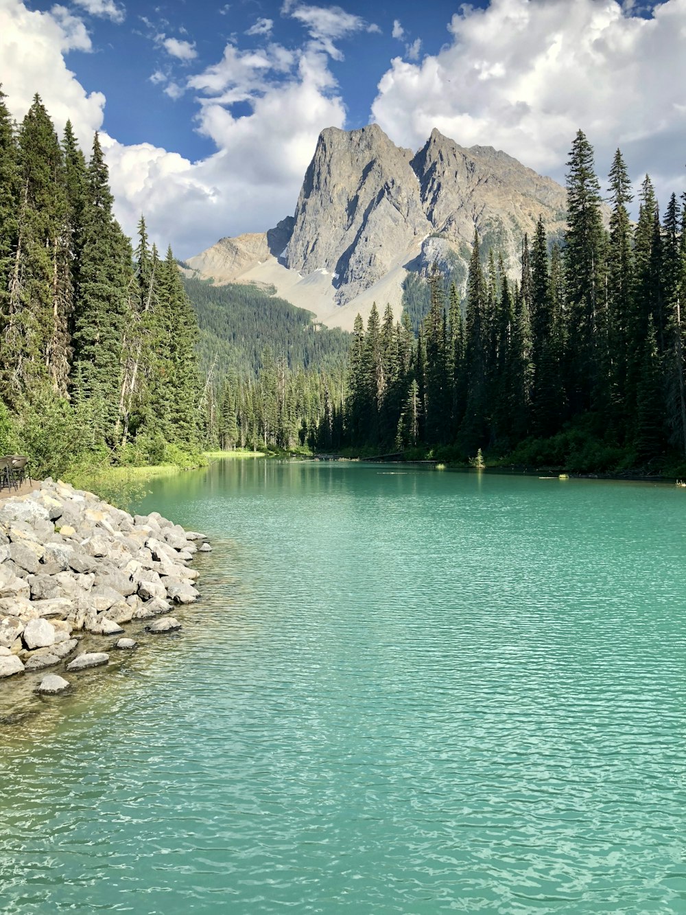 Océan près de la montagne photographie