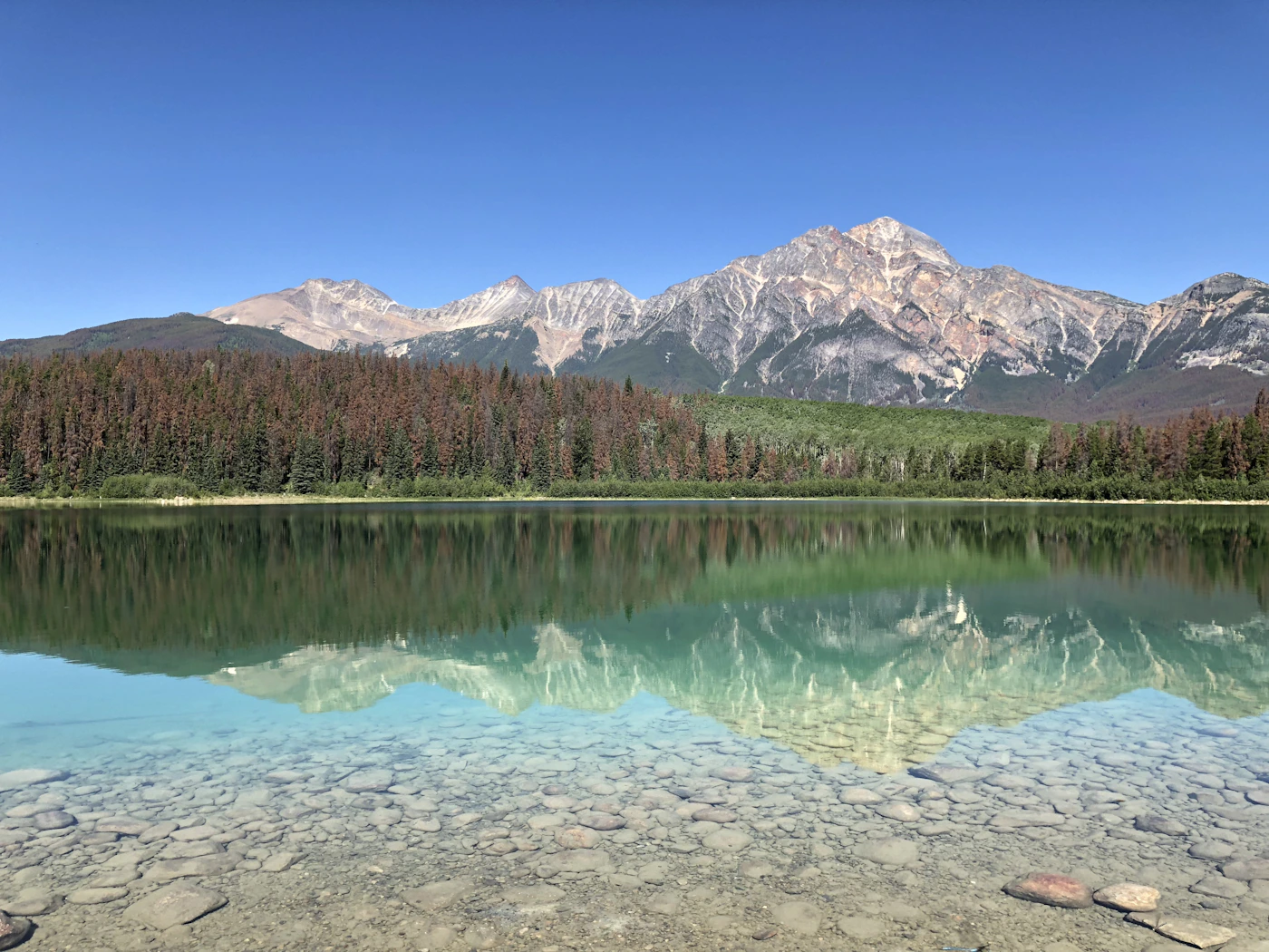 Pyramid Lake in Jasper National Park — calm reflective water with mountains and pine forest reflected perfectly