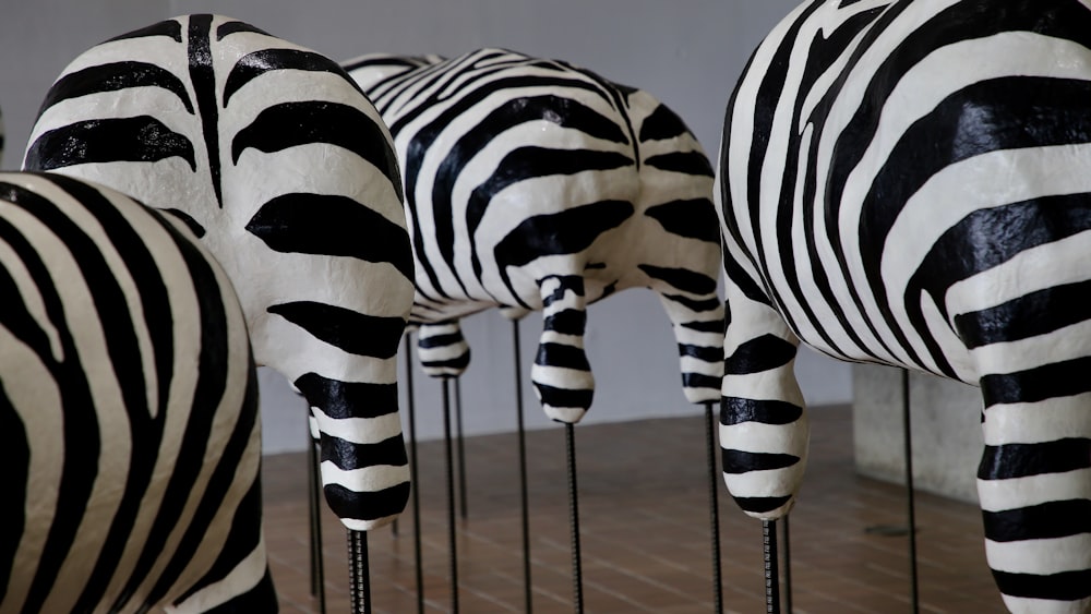 four zebra standees