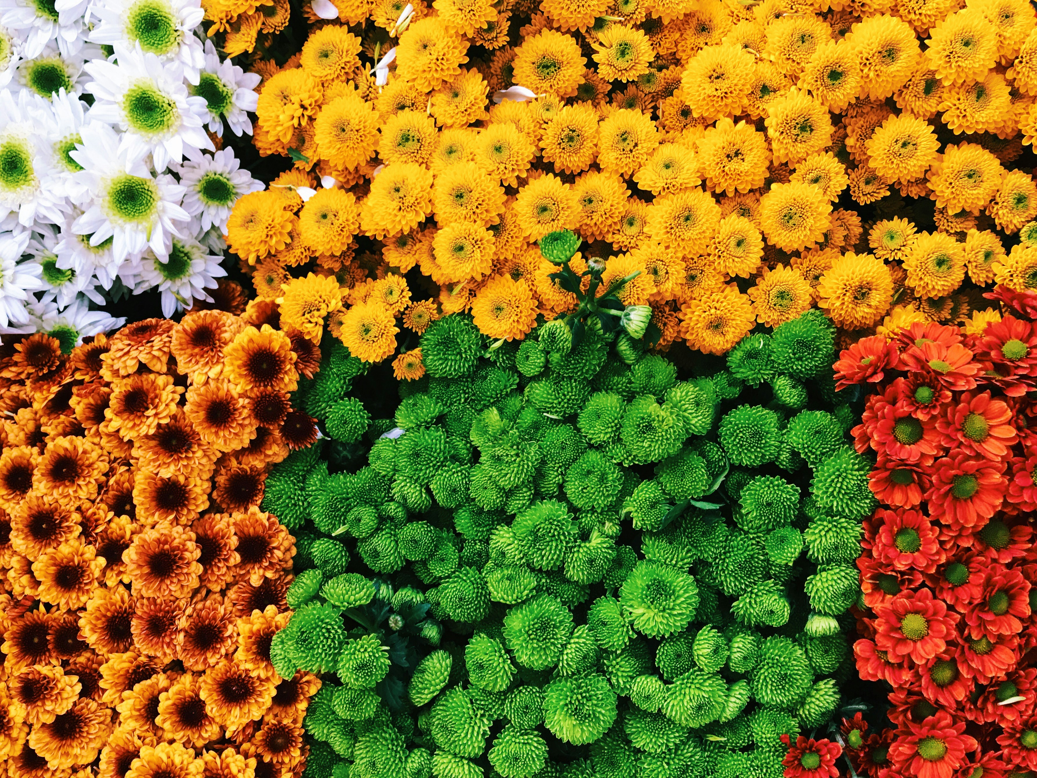 seasonal color palettes, wallpaper, Color Mixing Tips: Seasonal Palette Guide 3