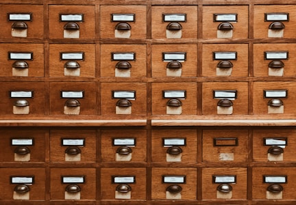 Database administrator working with data