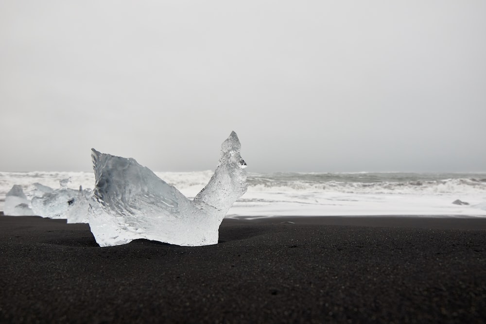 ice on black beach sand