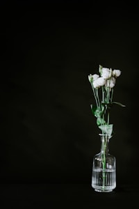 Pure White Roses