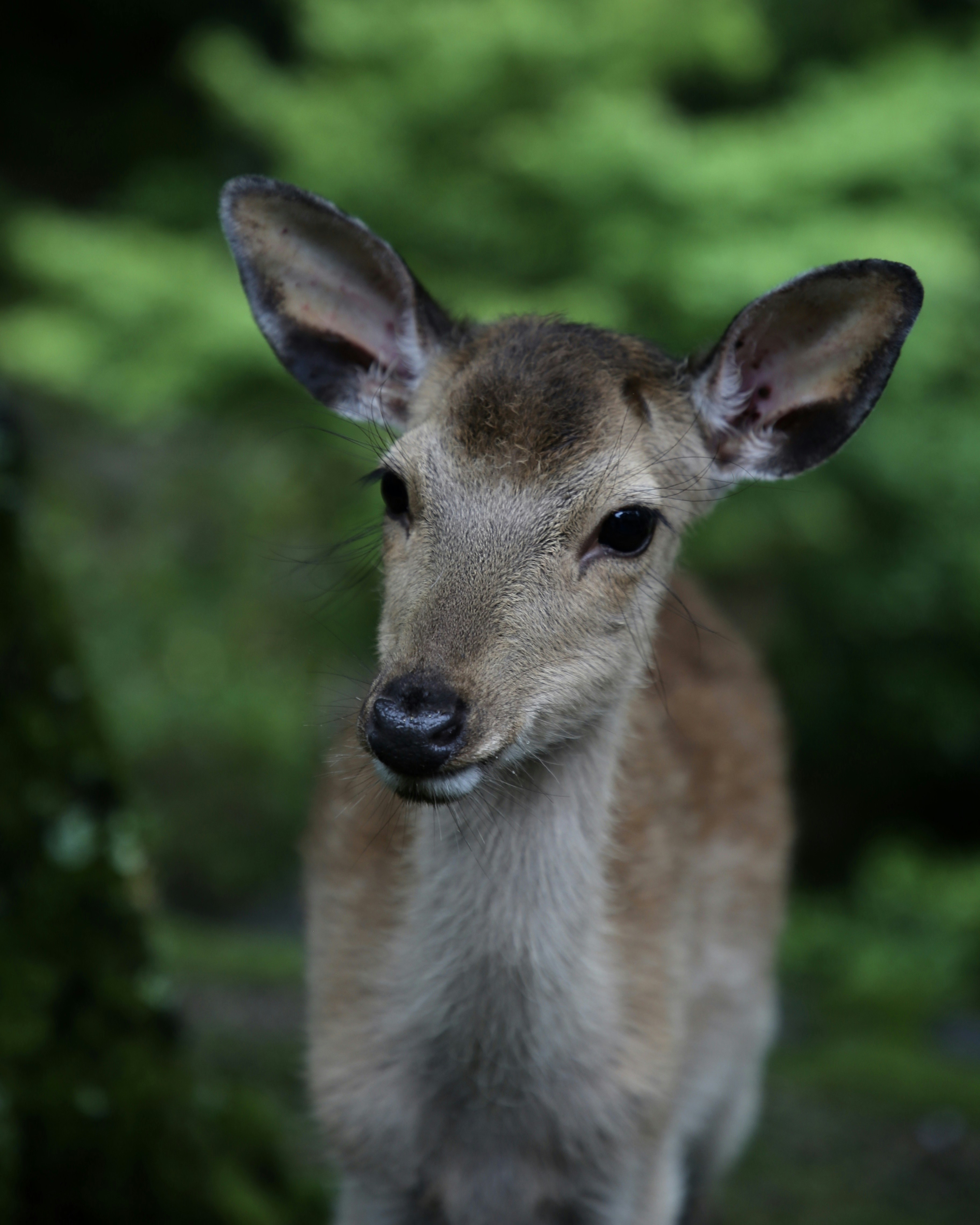 Photo by nathalie_spehner