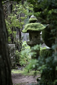 Enchanted Wood Lantern