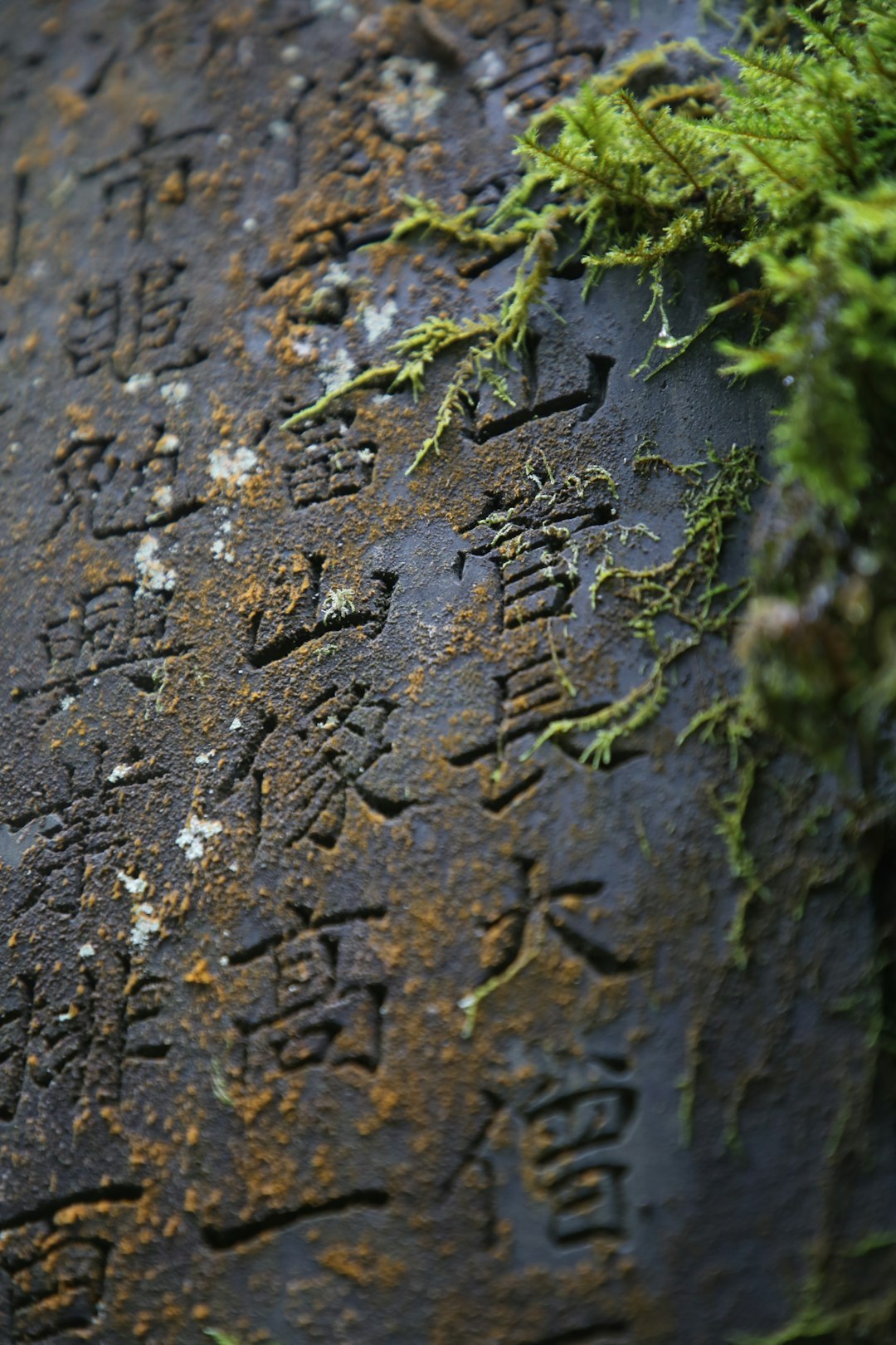 grey concrete wall