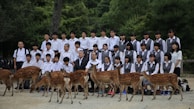 A group of people, likely students and two older adults, are dressed in matching uniforms and positioned in several rows for a group photo. They are outdoors, surrounded by greenery and trees, with several deer standing in front of them. The people seem to be posing formally, and the setting appears serene and natural.
