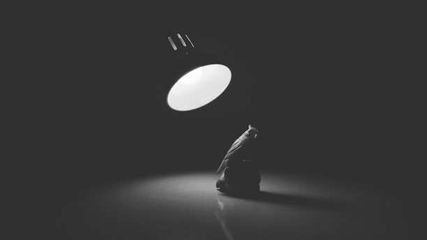 A dark setting with a single spotlight illuminating a small, wrapped object or sculpture. The focus is on the contrast between light and shadow, creating a dramatic and mysterious atmosphere.