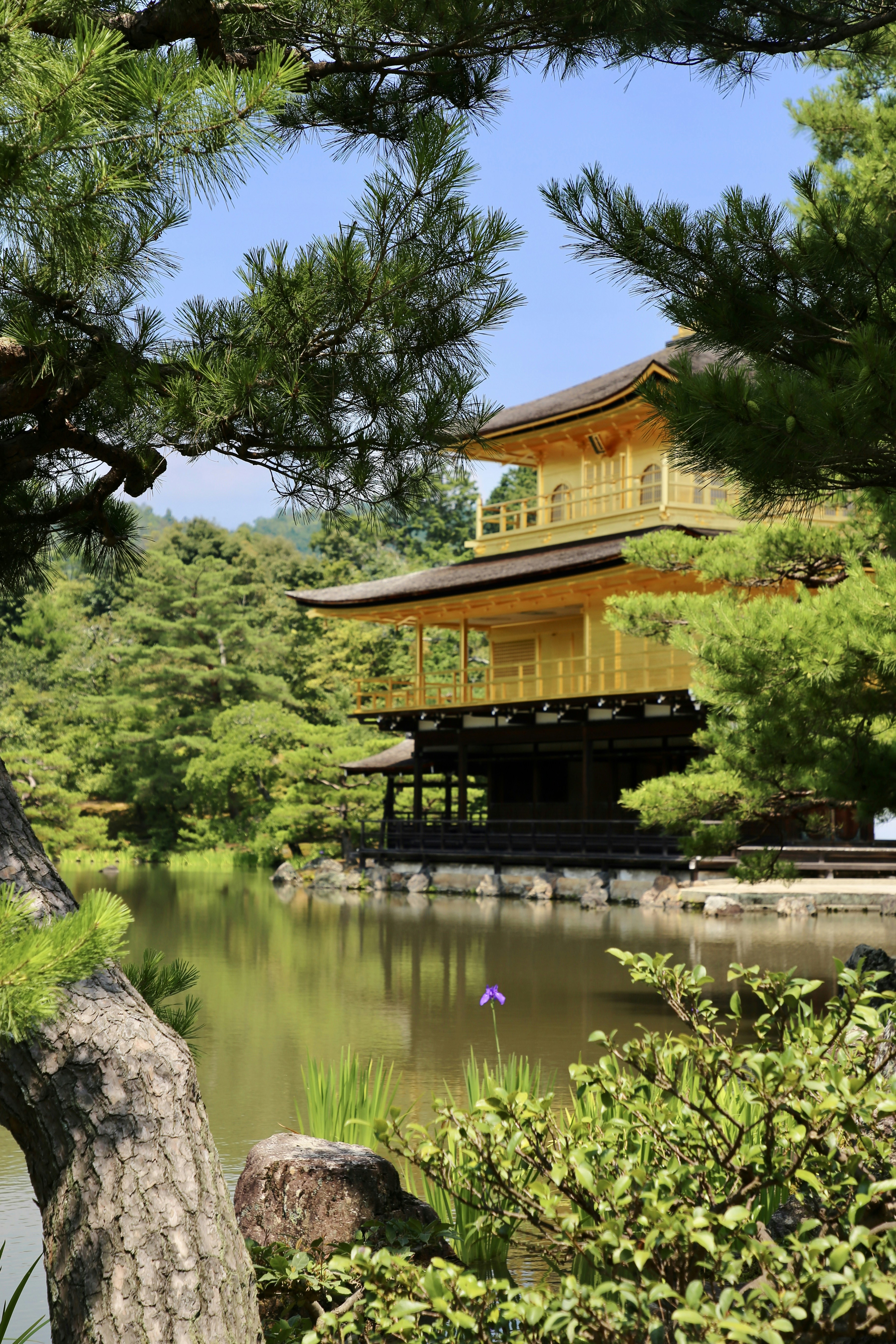 Photo by nathalie_spehner