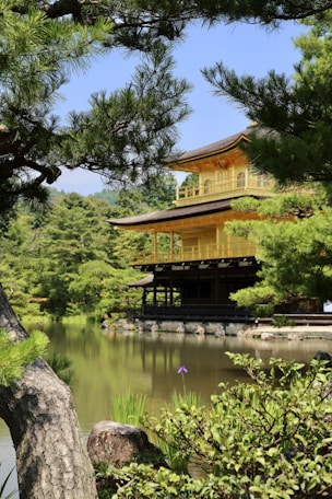 brown house beside body of water