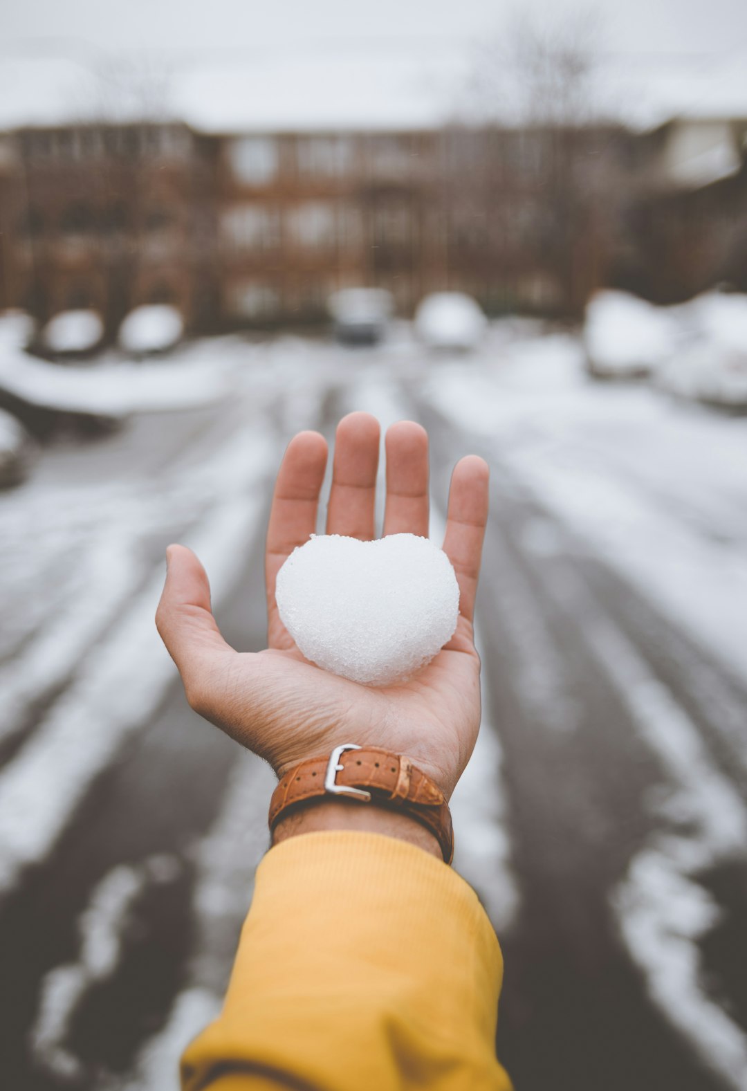  person holding white snow ice box