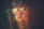 woman with gold-framed eyeglasses