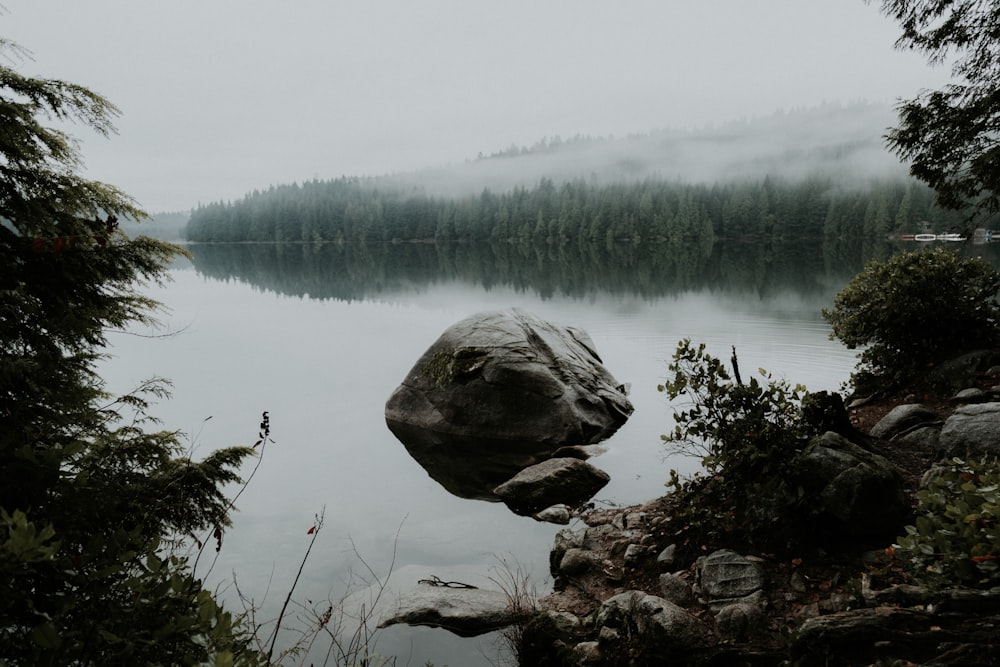 rock in body of water surrounded with trees