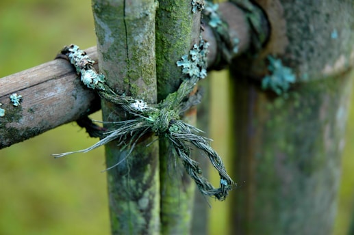A close-up view of a weathered rope tied securely around a green, moss-covered wooden post. The texture of the aged wood and the intertwined fibers of the rope are prominent, with patches of lichen adding a natural touch.