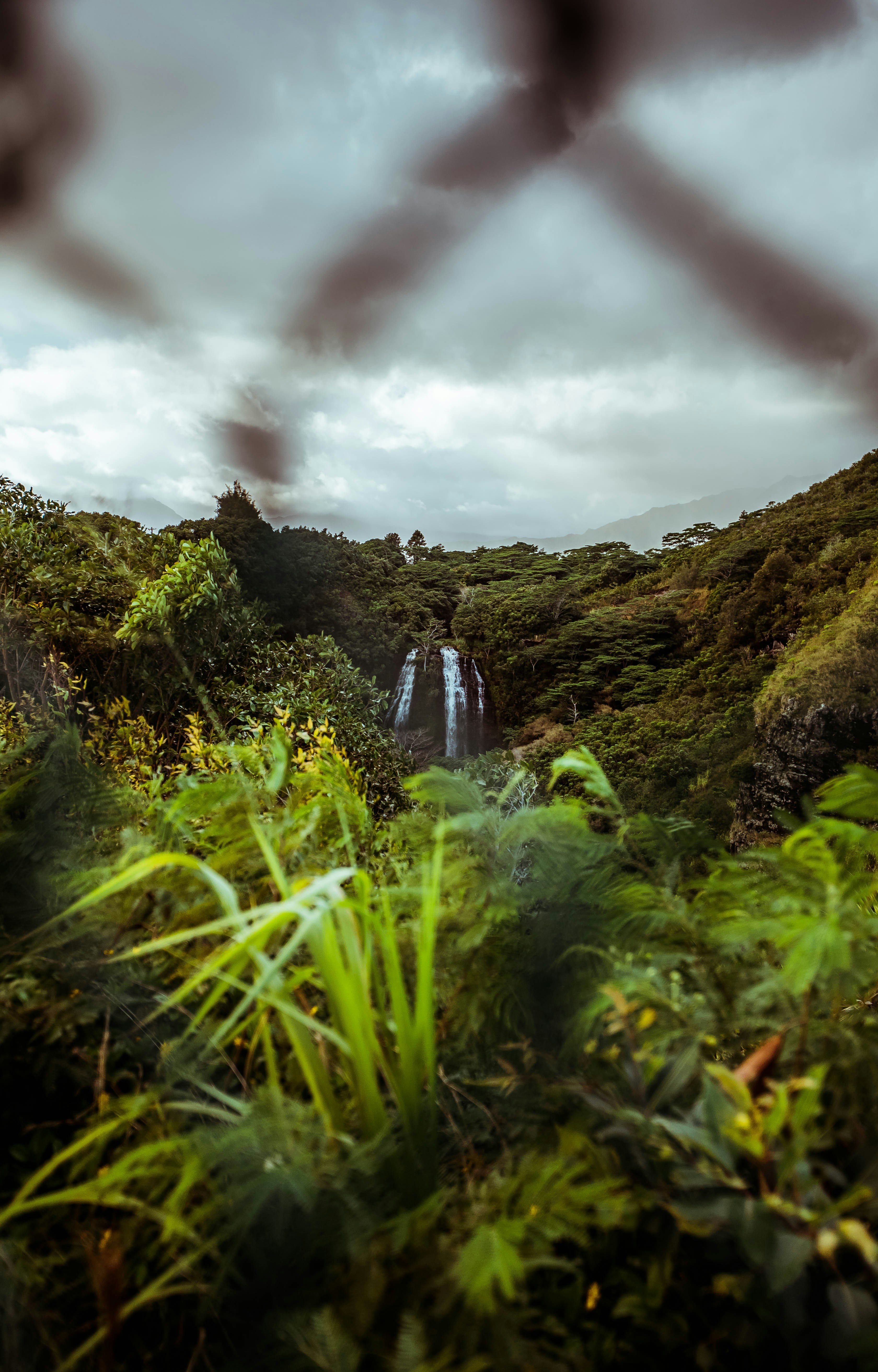 Photo by matthewpablico