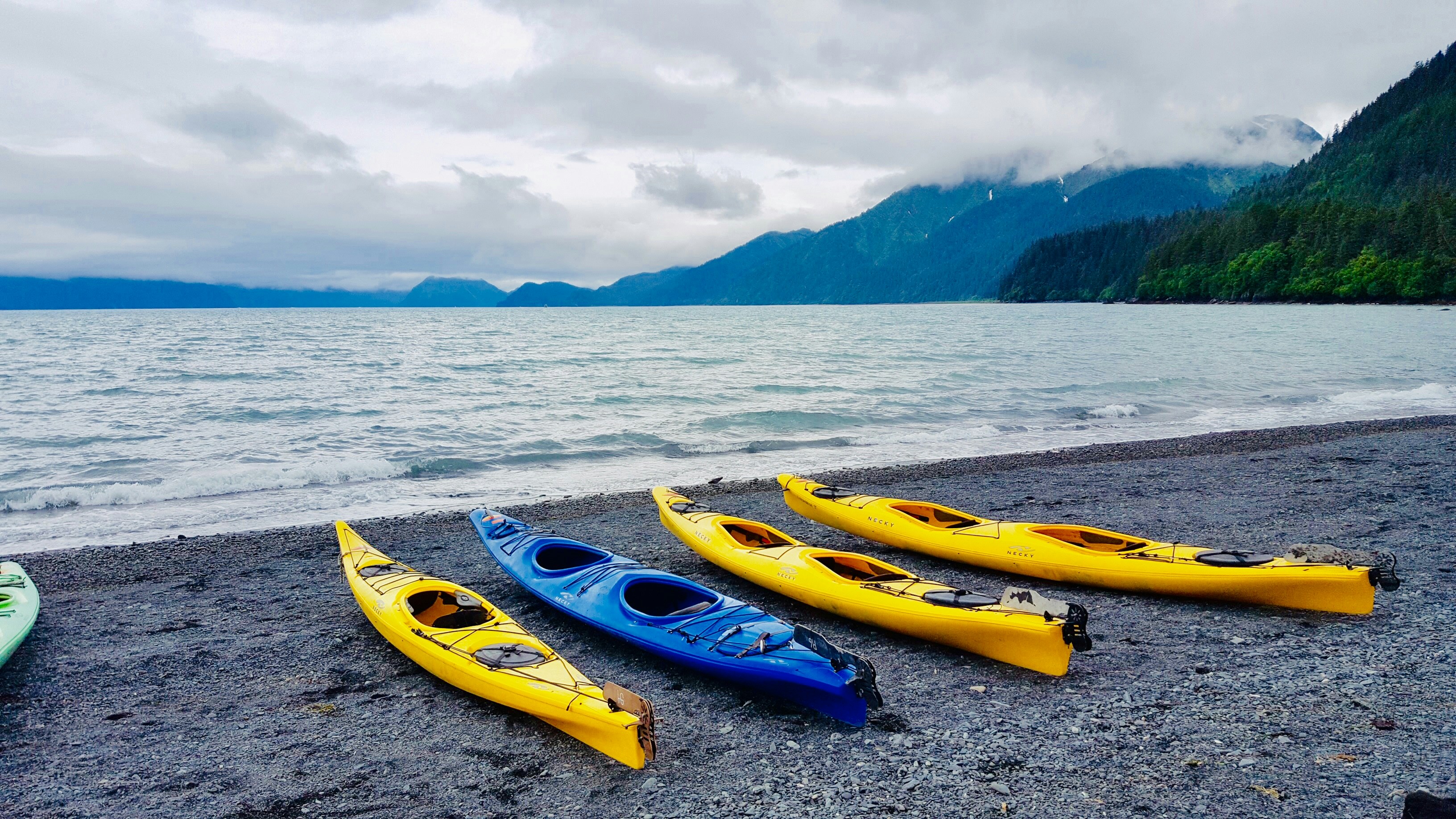 four assorted-color kayaks near seashore