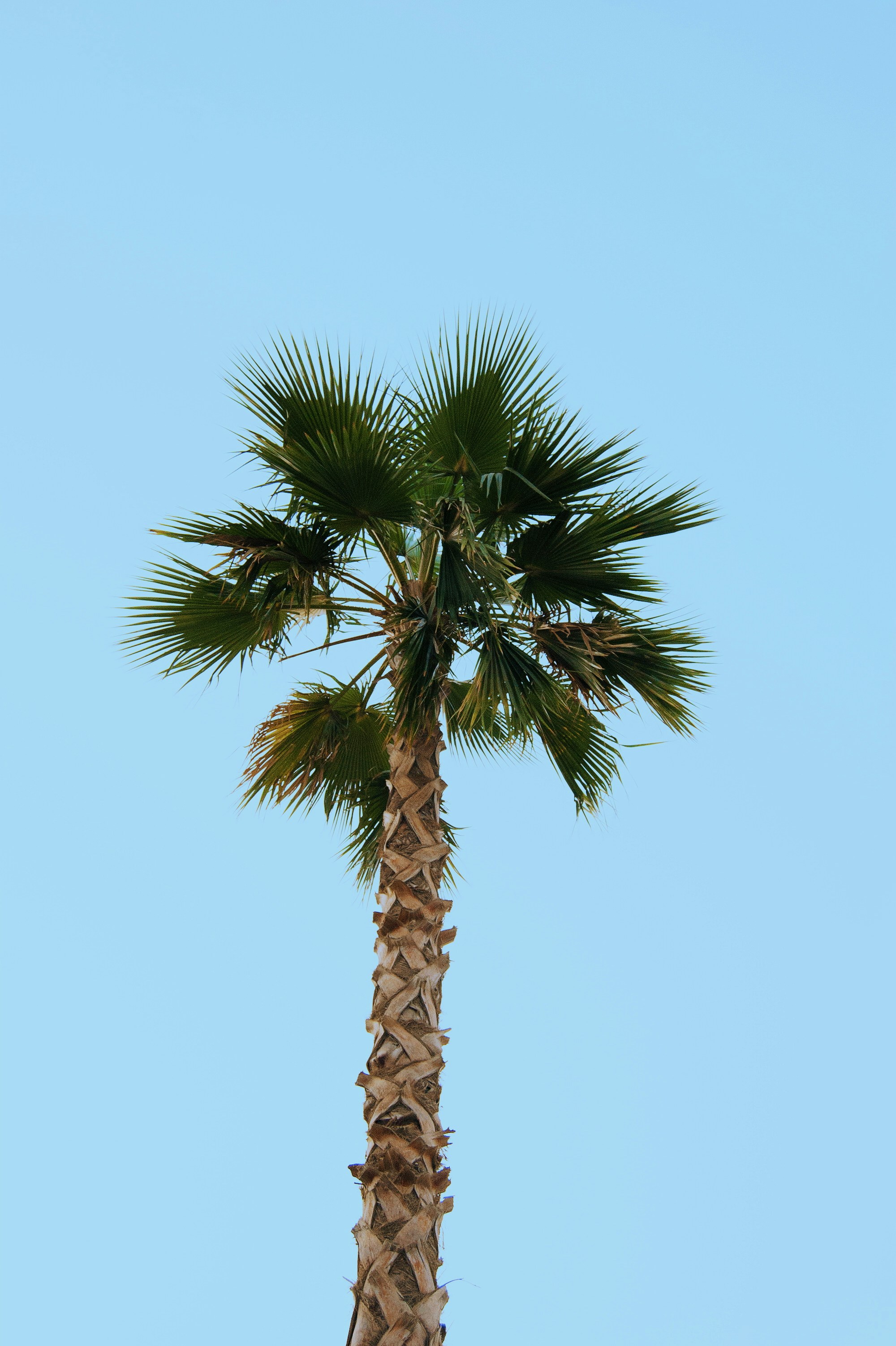 Photo by omair_parvez