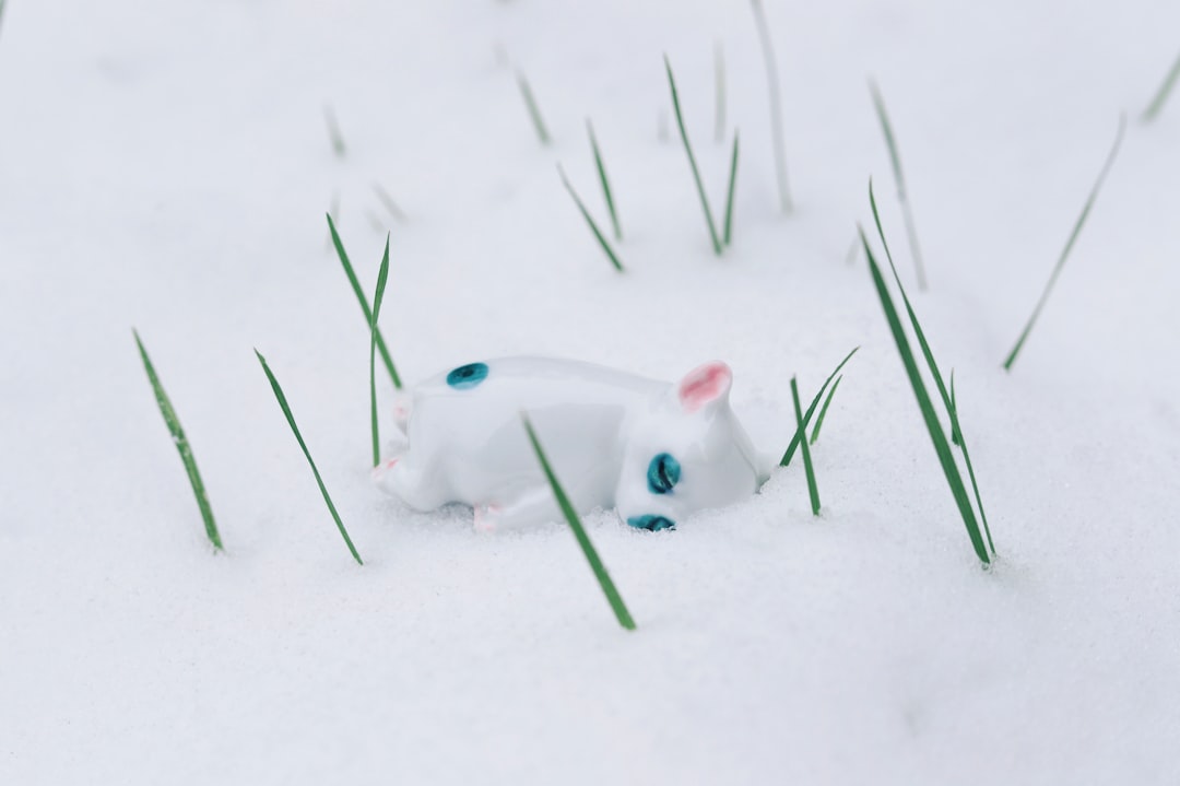 white ceramic dog figurine on snow