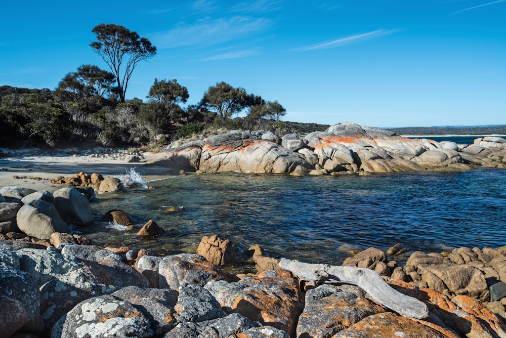 rocks near body of water during daytime